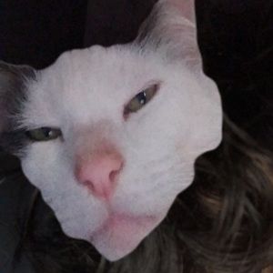 Meet your Posher, Cristian